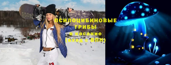 2c-b Белокуриха